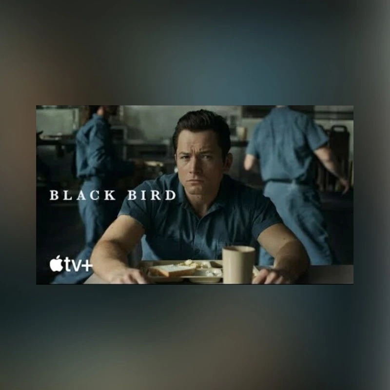 Black Bird, TV Series