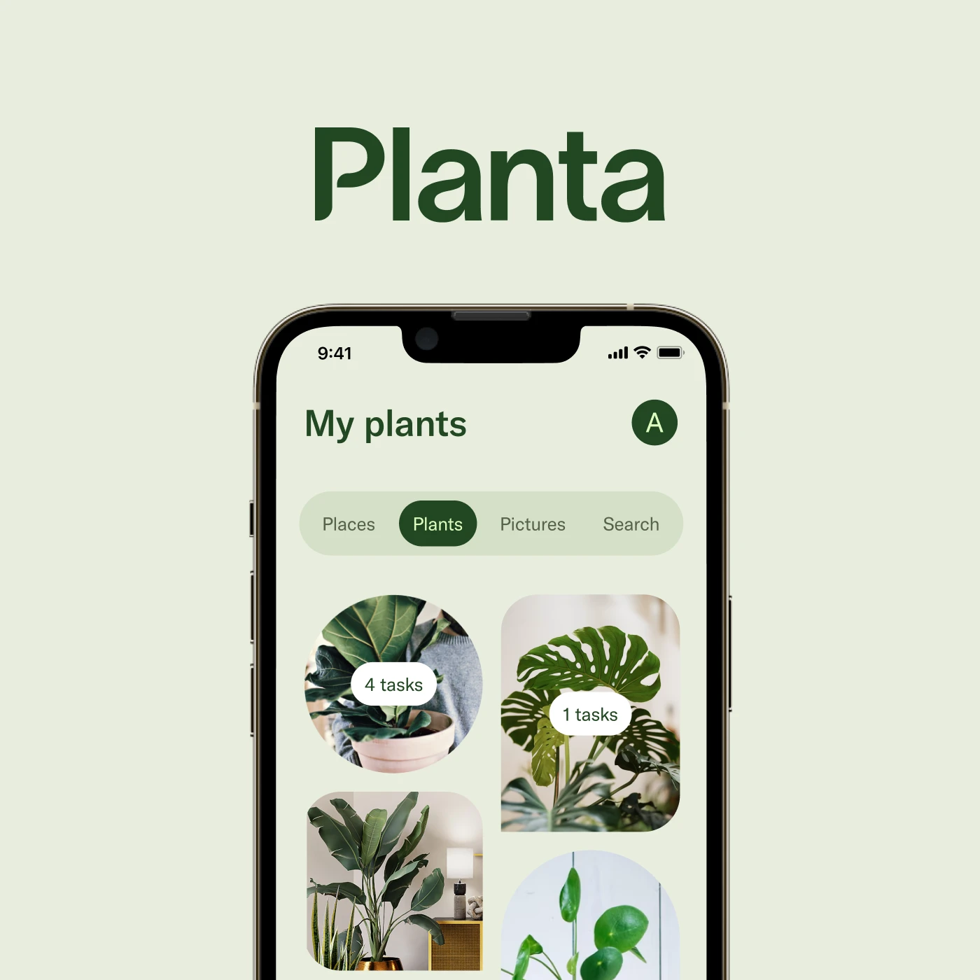 Planta, Plantcare app